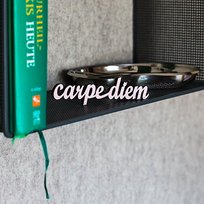 carpe diem